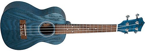 Eddy Finn Blue Ash Concert Ukulele - A Strings
