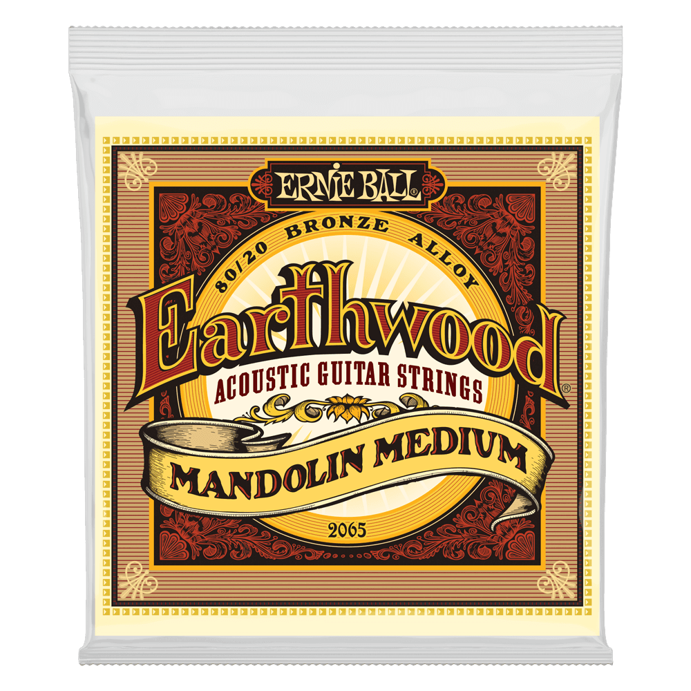 Ernie Ball Earthwood Mandolin String Set, 80/20 Bronze, Medium .010-.036 - A Strings