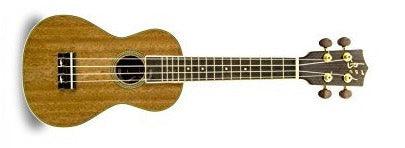 APC Soprano Ukulele, All Solid Mahogany - A Strings
