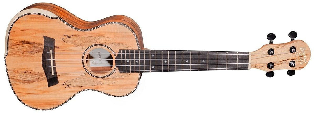 Barnes & Mullins Ukulele Concert - Spalt Maple - A Strings
