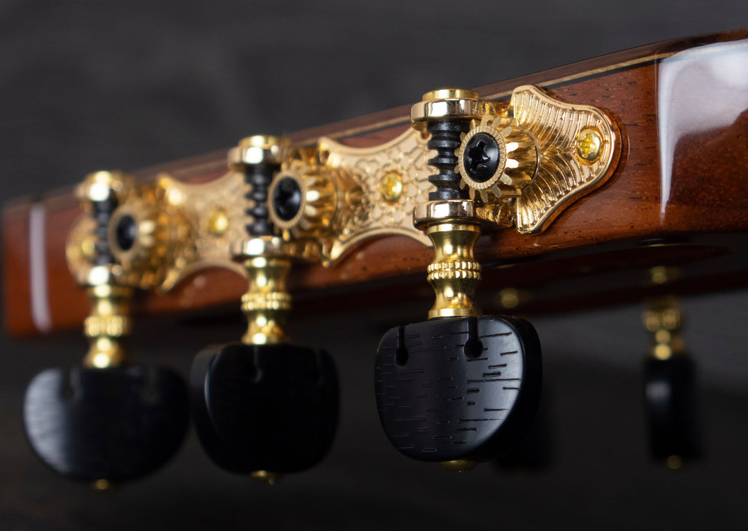 Guitarra clásica sólida Cordoba C10 CD, tapa de cedro