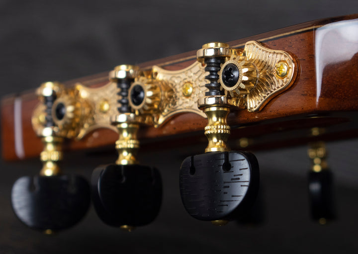 Guitarra clásica sólida Cordoba C10 CD, tapa de cedro