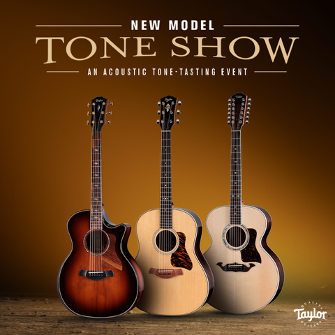 The Taylor Tone Show at A Strings 17.11.26