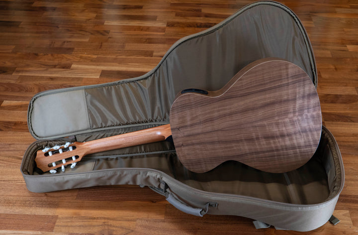 Taylor Academy 12e-N Nylon Acoustic-Electric Guitar