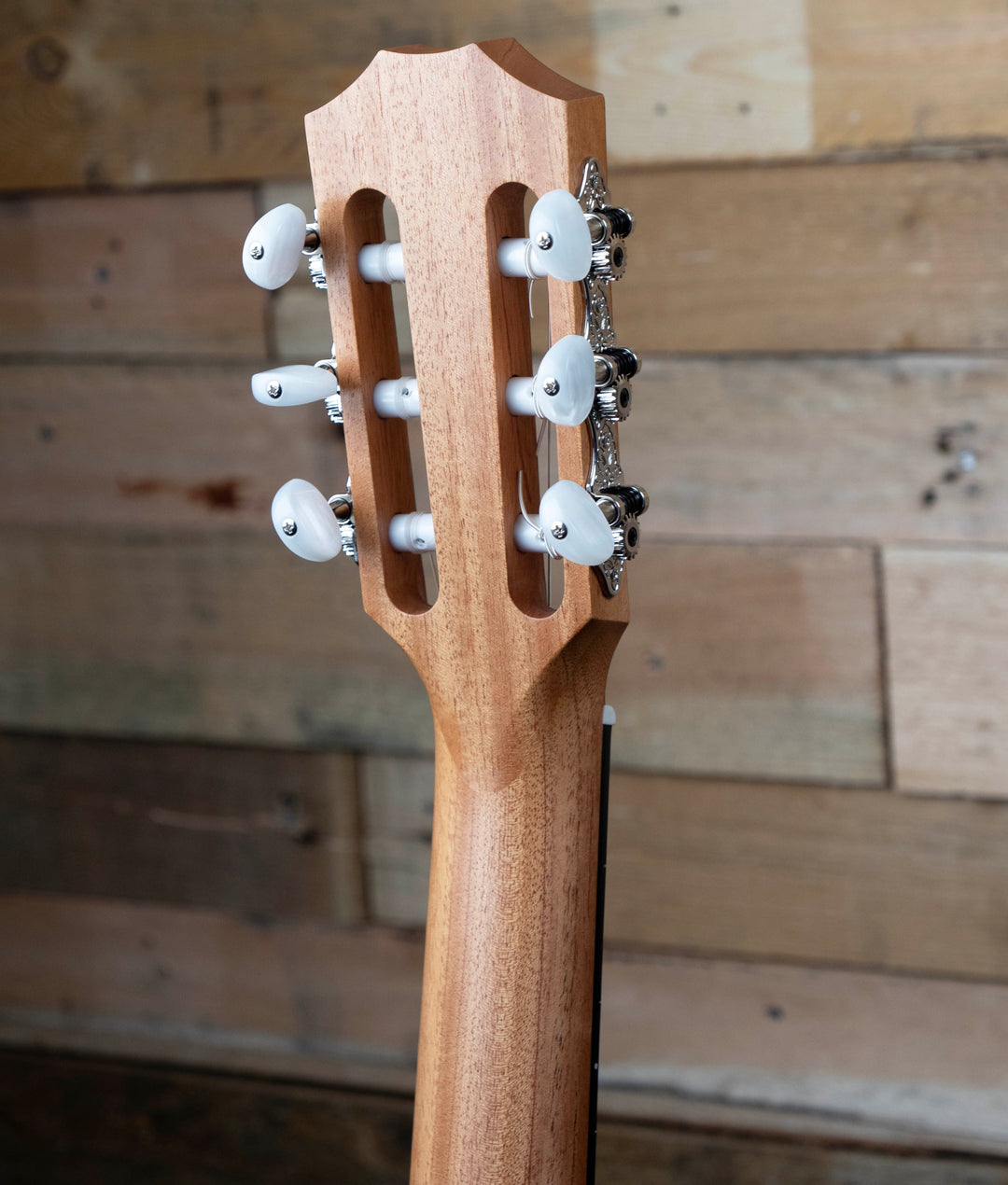 Taylor Academy 12e-N Nylon Acoustic-Electric Guitar