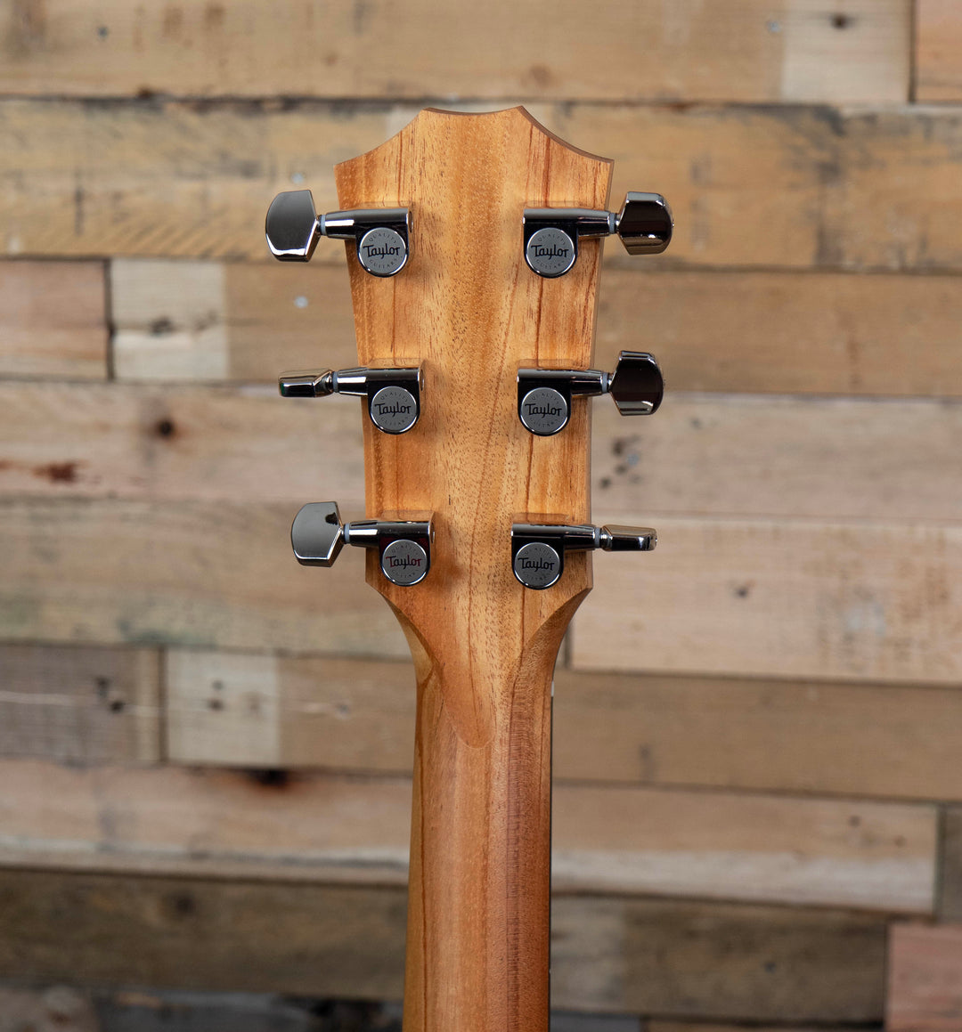 Taylor 212ce Plus Grand Concert Acoustic-Electric Guitar