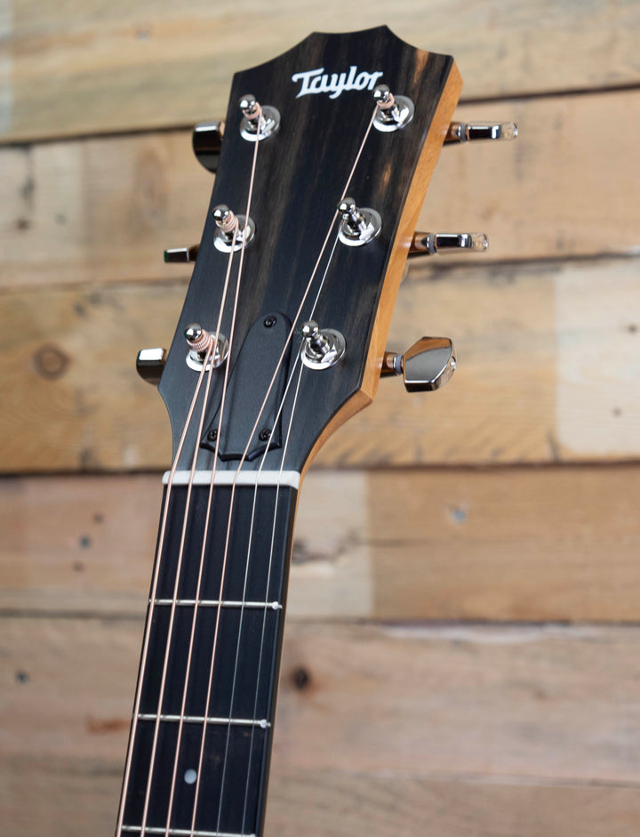 Taylor 214ce Plus Grand Auditorium Acoustic-Electric Guitar