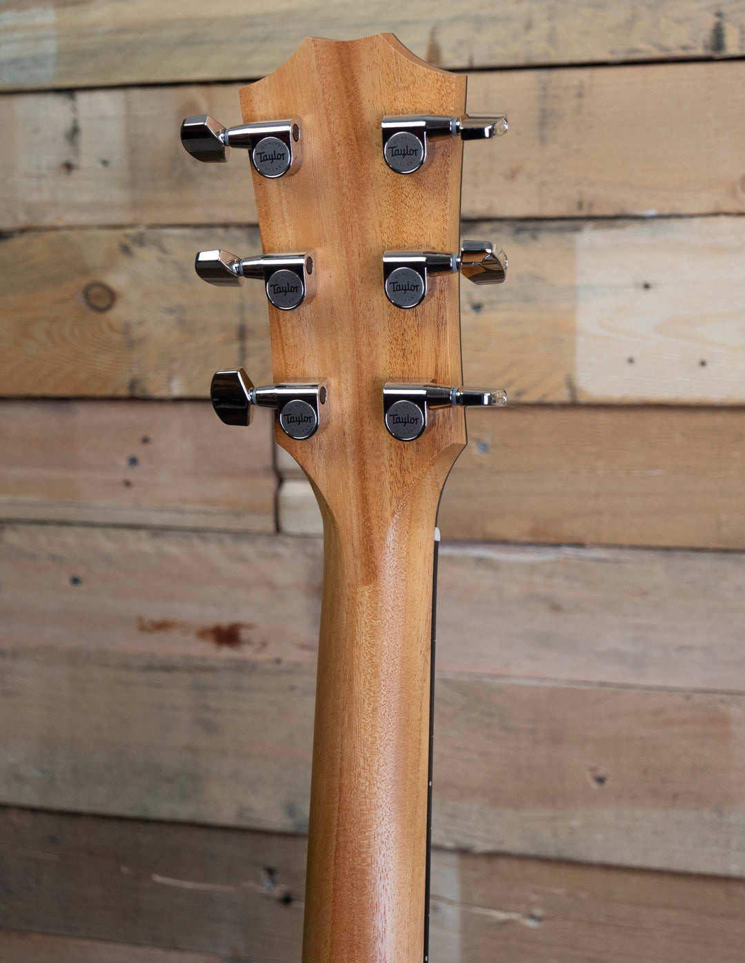 Taylor 214ce Plus Grand Auditorium Acoustic-Electric Guitar