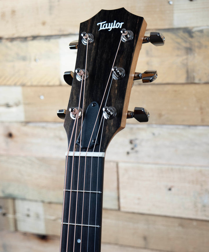 Taylor 217e-SB Plus Grand Pacific Acoustic-Electric Guitar – Sunburst