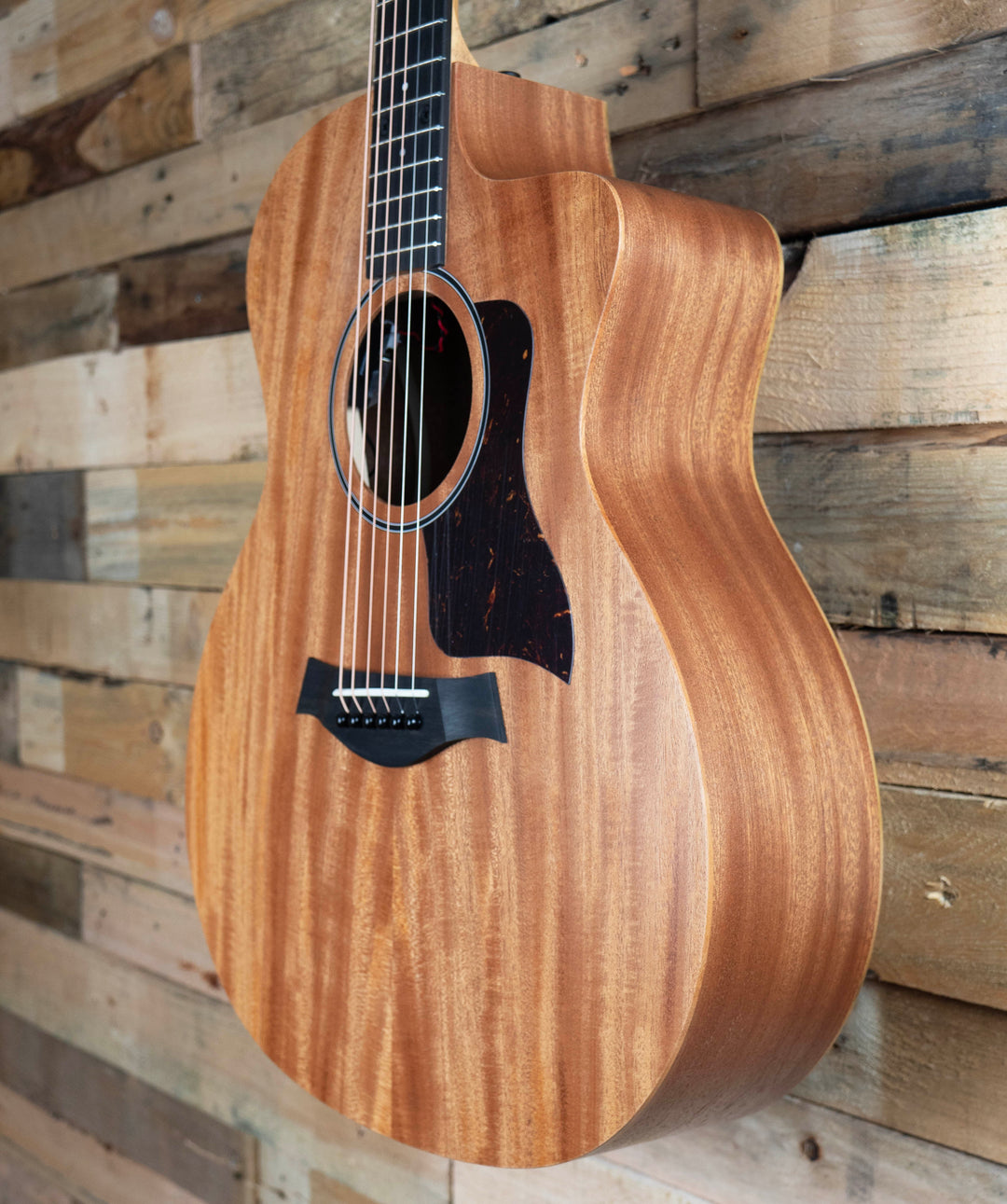 Taylor 24ce Sapele Acoustic-Electric Guitar