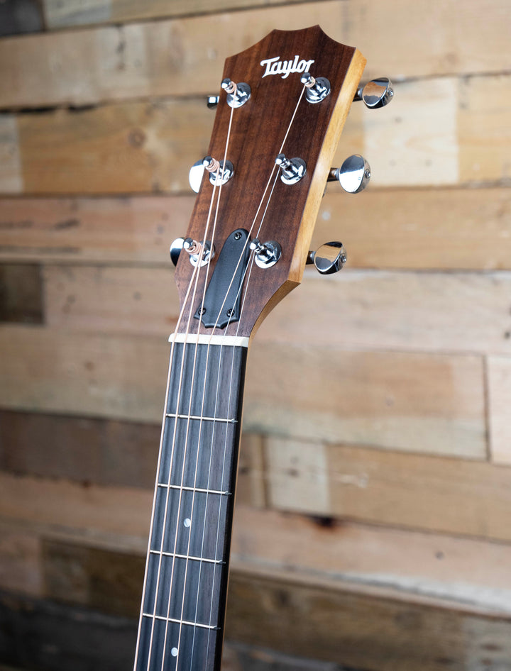 Taylor 24ce Sapele Acoustic-Electric Guitar