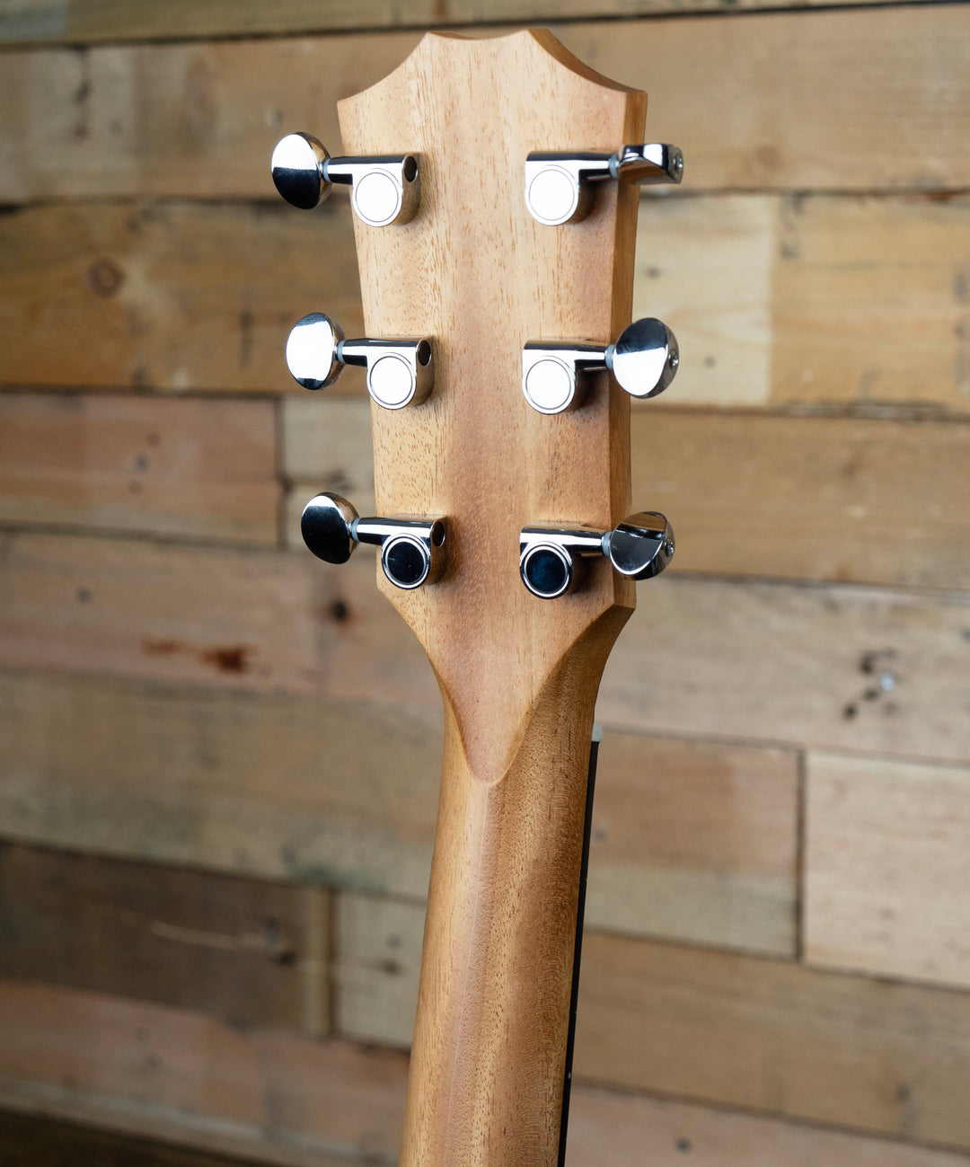 Taylor 24ce Sapele Acoustic-Electric Guitar