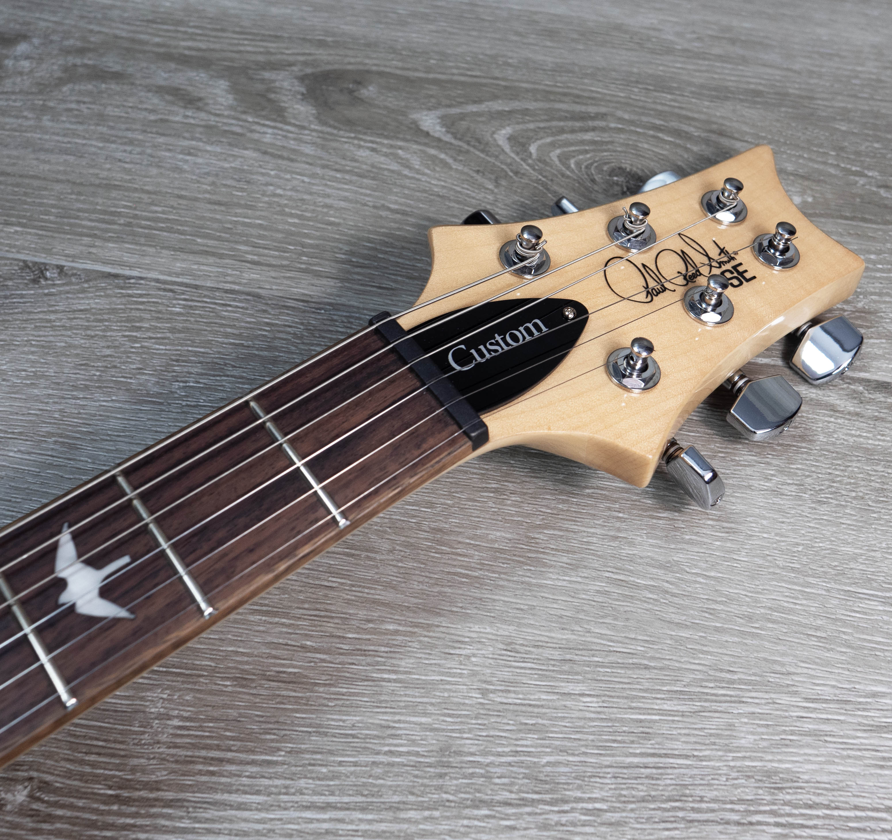 PRS SE Custom 24, Turquoise – A Strings