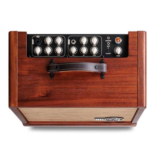 Taylor Circa 74 Acoustic Guitar Amplifier with Stand – Mahogany