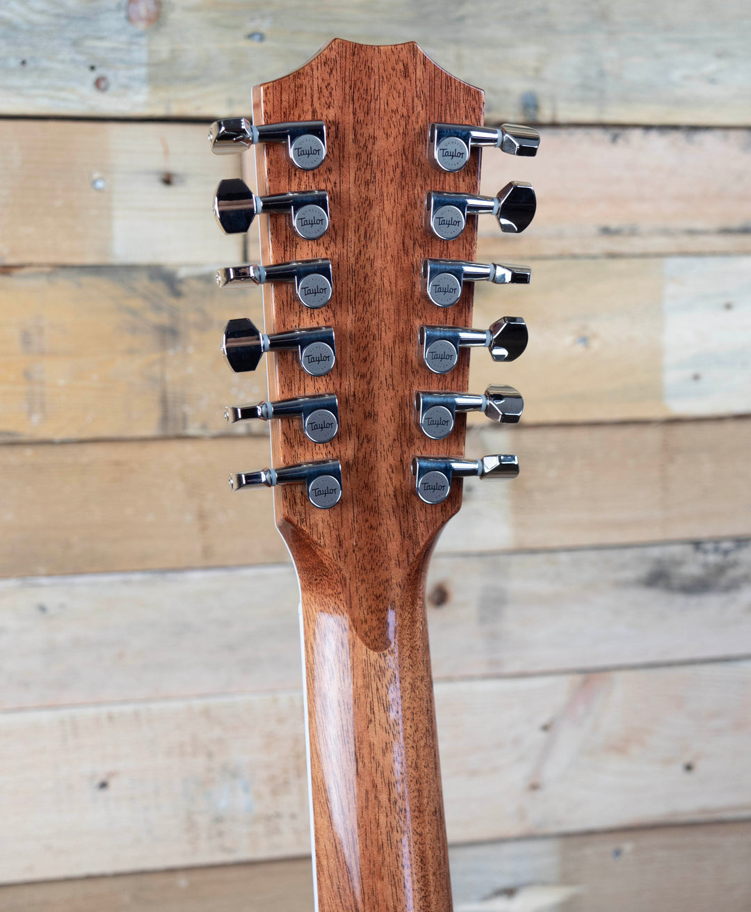Taylor Legacy 855e 12-String Acoustic-Electric Guitar