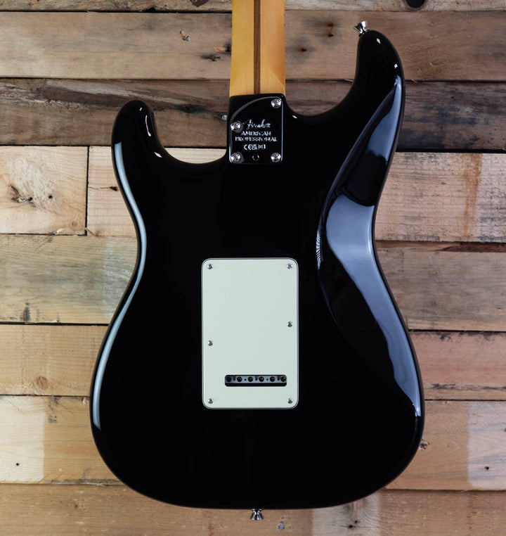 Fender American Professional Stratocaster, Maple Fingerboard, Black