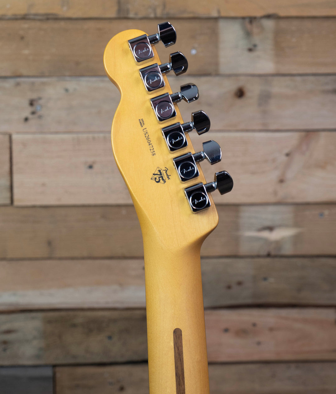 Fender American Professional Telecaster, Rosewood Fingerboard, Dark Night