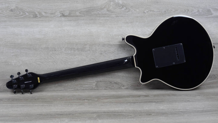 Brian May Special Art Series Guitar, Frank