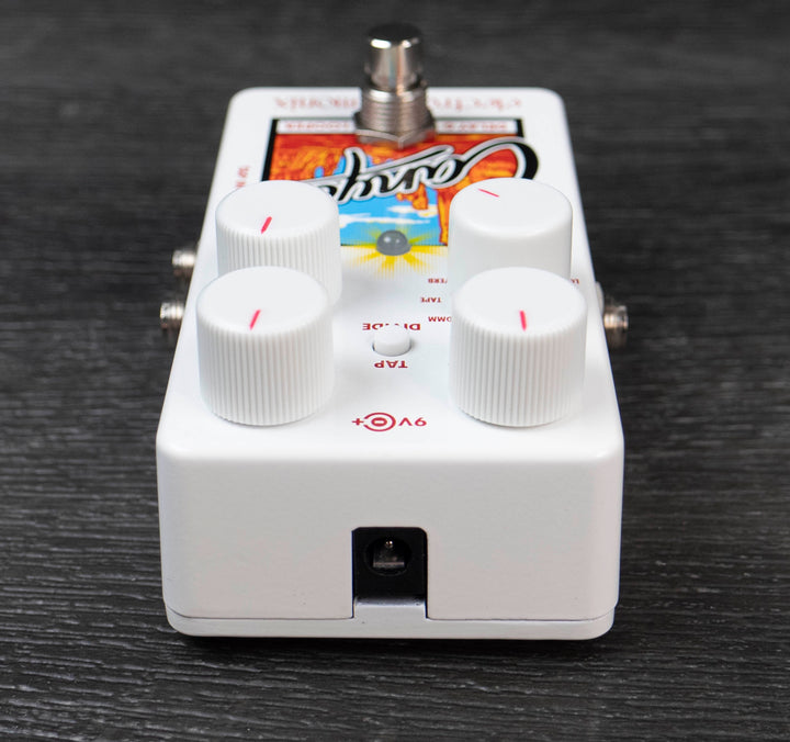 Electro Harmonix Canyon Delay and Looper Pedal