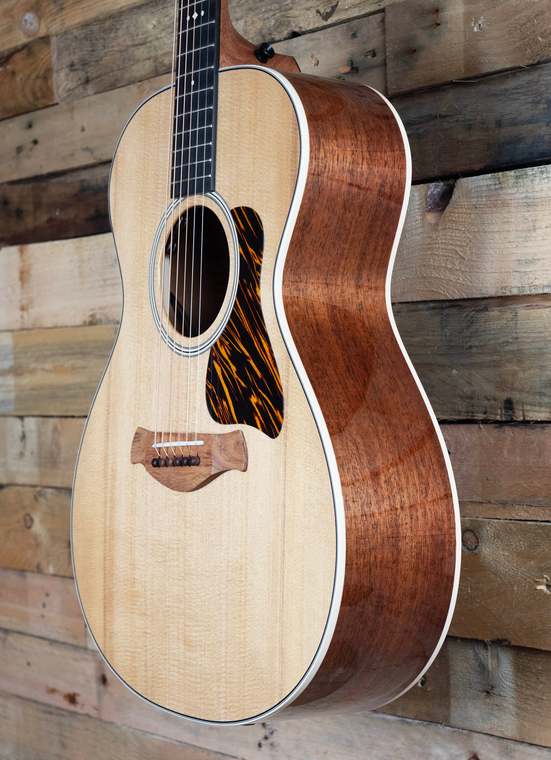Taylor Gold Label 512e Grand Concert Acoustic-Electric Guitar