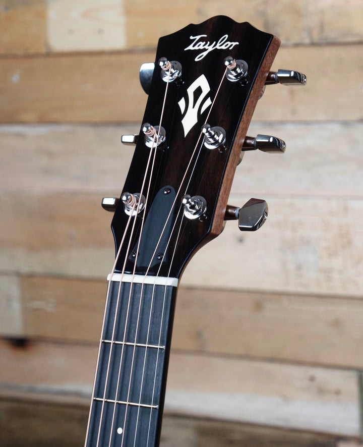 Taylor Gold Label 512e Grand Concert Acoustic-Electric Guitar