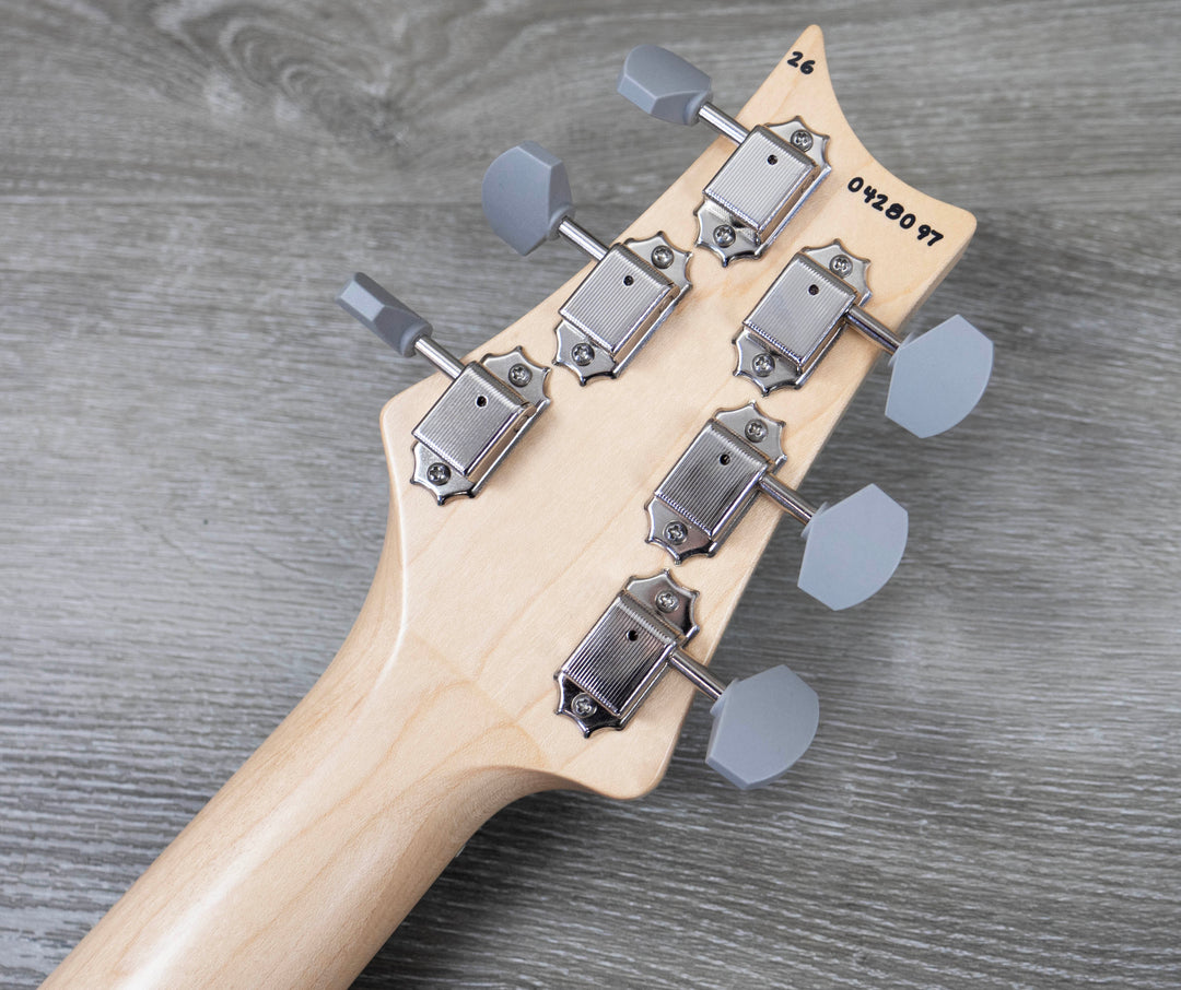 PRS Limited Edition Silver Sky, Wild Blue
