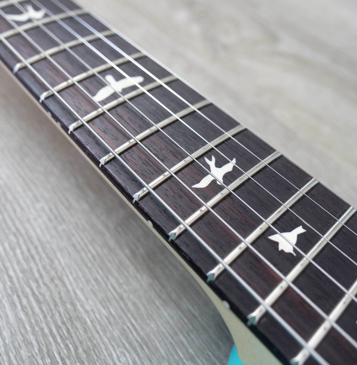 PRS Limited Edition Silver Sky, Wild Blue