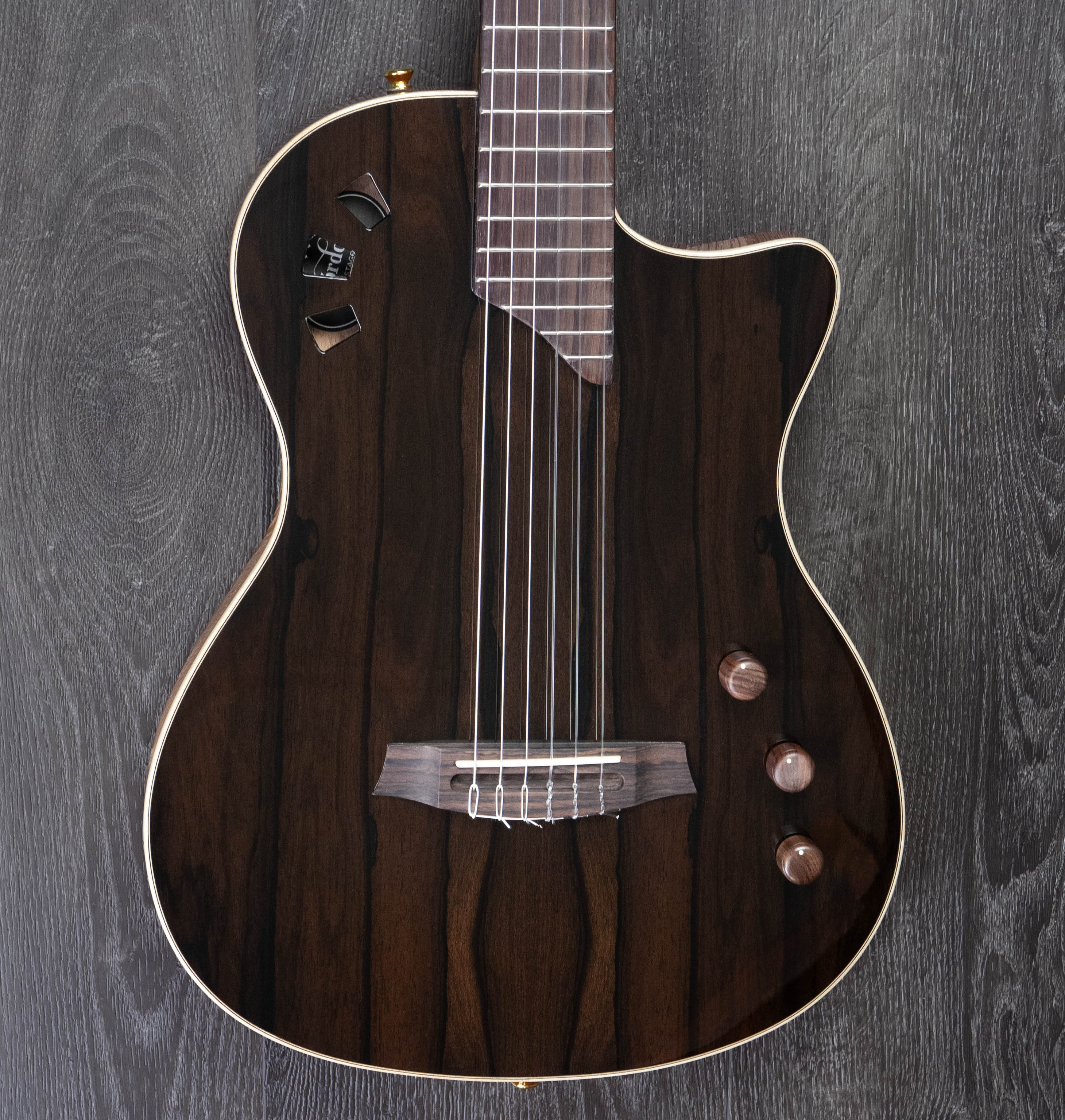 Cordoba Limited Edition Stage Guitar, Chambered Electro-Acoustic