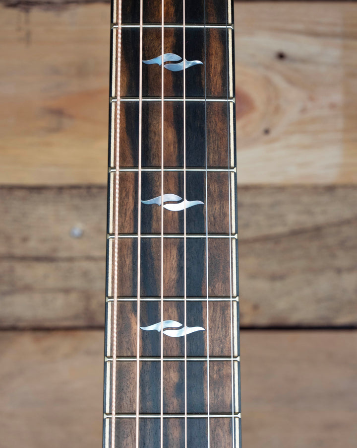 Taylor Builder&