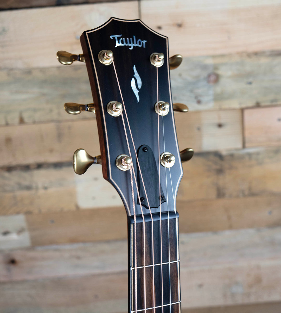 Taylor Builder&