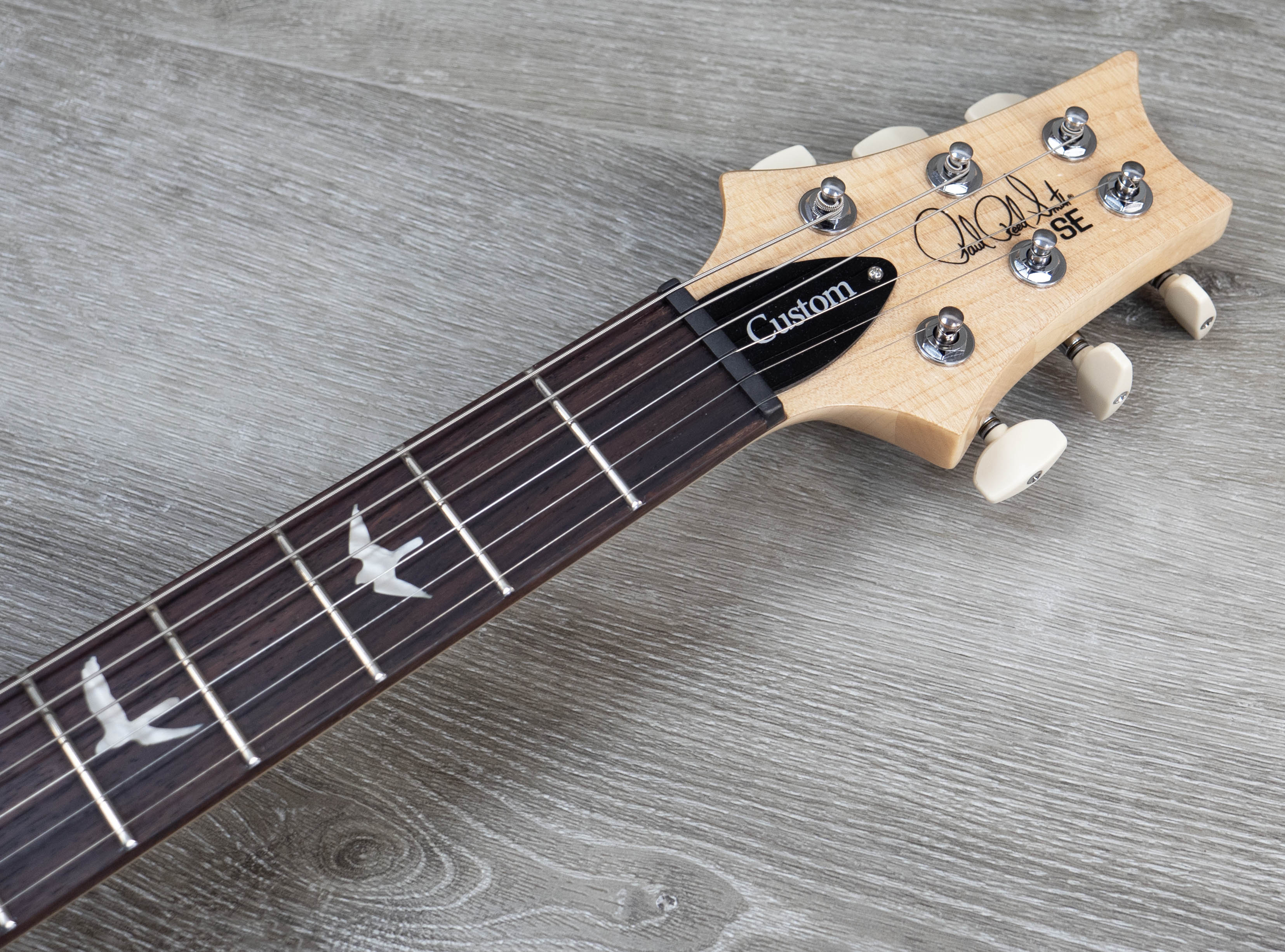 リンPRS SE / 2013 SE Custom 24 PRS SE Custom 24, Trampas Green – A Strings