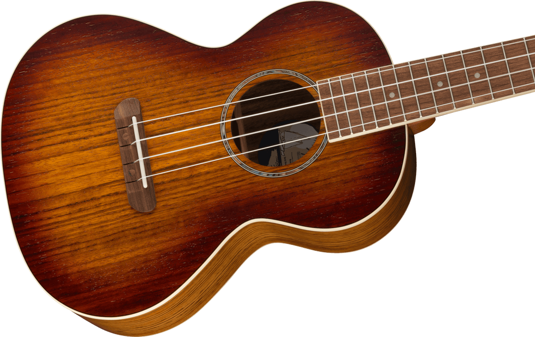 Fender rincon tenor 2025