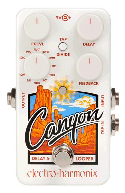 Electro Harmonix Canyon Delay and Looper Pedal - A Strings