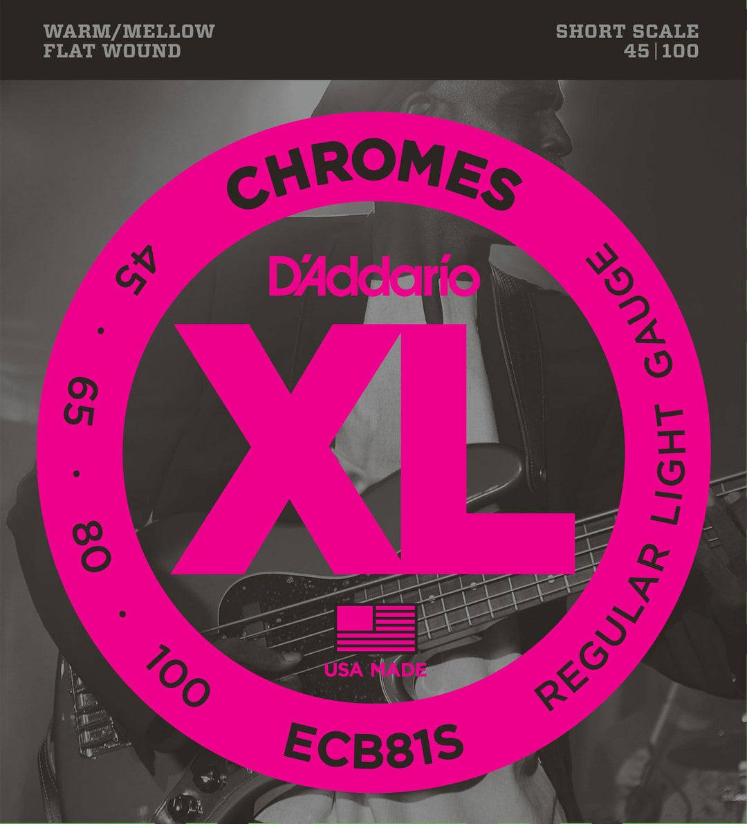 D'Addario Chromes Bass Guitar String Set, Flatwound, ECB81S Regular Light .045-.100 Short Scale - A Strings